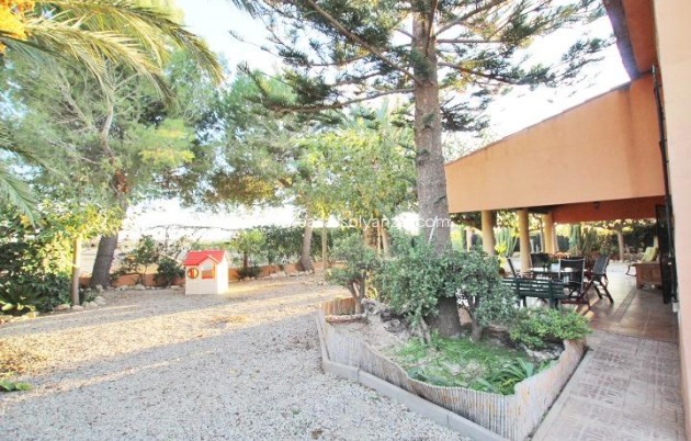 Revente - Country Property/Finca - Almoradí - Comunidad Valenciana