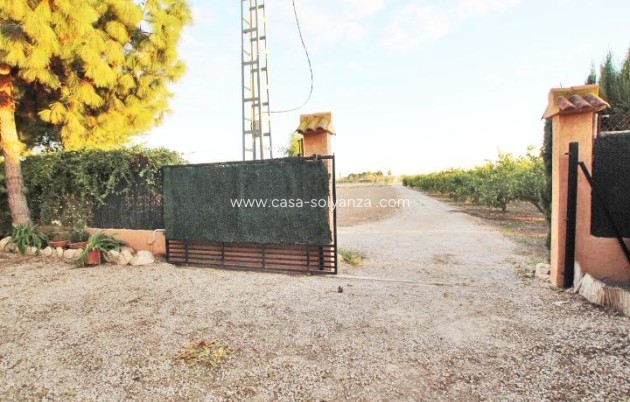 Revente - Country Property/Finca - Almoradí - Comunidad Valenciana