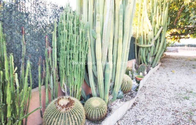 Revente - Country Property/Finca - Almoradí - Comunidad Valenciana