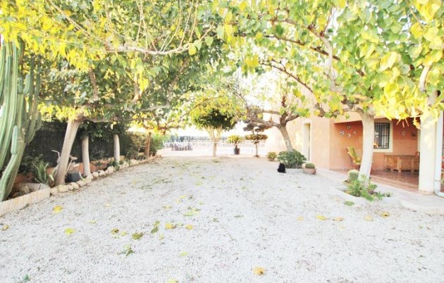Revente - Country Property/Finca - Almoradí - Comunidad Valenciana