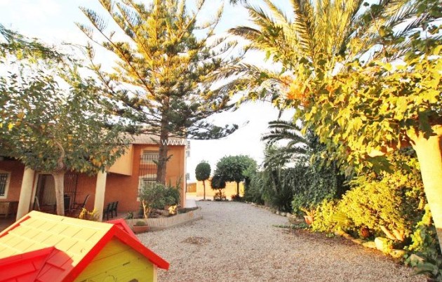 Revente - Country Property/Finca - Almoradí - Comunidad Valenciana