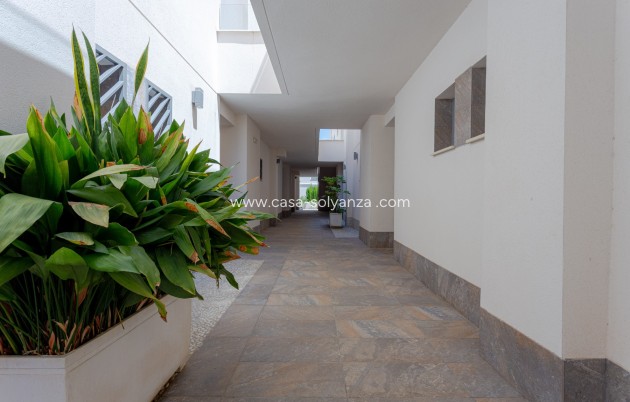 Herverkoop - Appartement / flat - Torrevieja - Costa Blanca