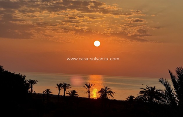 Revente - Appartement - San Miguel de Salinas - Inland