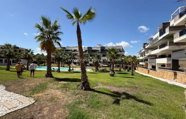 Revente - Appartement - Orihuela - Inland