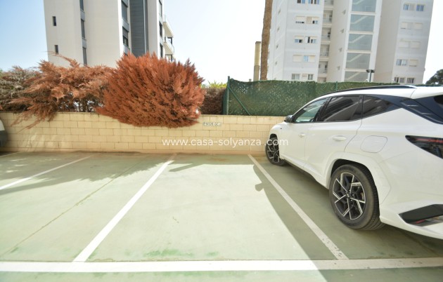 Revente - Appartement - Guardamar del Segura - Costa Blanca