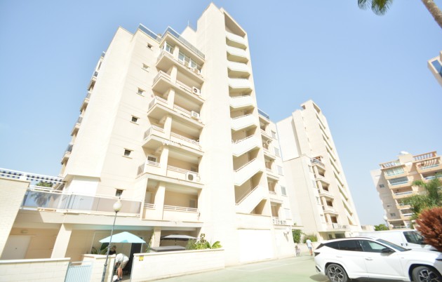 Revente - Appartement - Guardamar del Segura - Costa Blanca