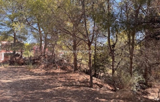 Revente - Land - Sierra Cortina - Inland