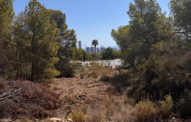 Revente - Land - Sierra Cortina - Inland