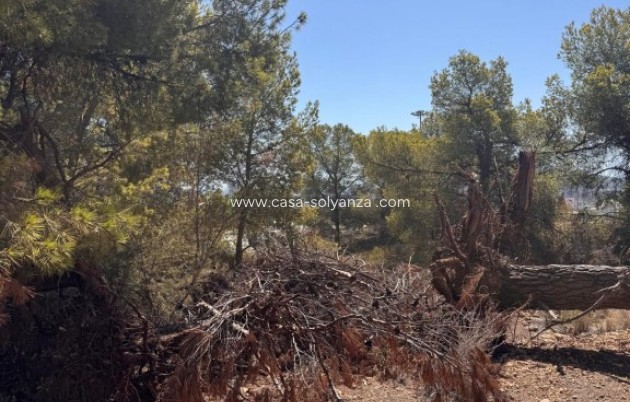 Revente - Land - Sierra Cortina - Inland