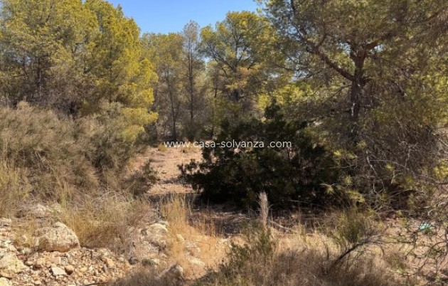 Revente - Land - Sierra Cortina - Inland