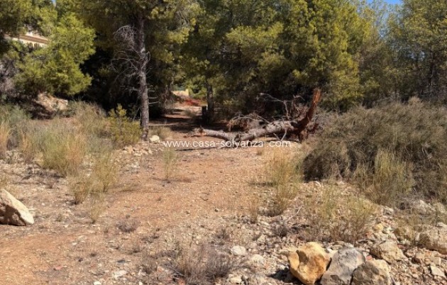 Revente - Land - Sierra Cortina - Inland