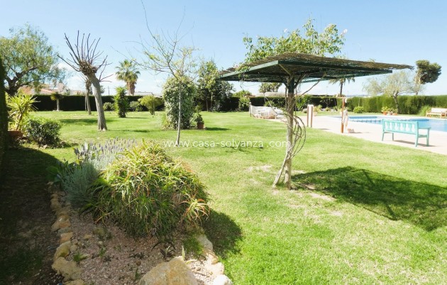 Wiederverkauf - Stadthaus - Torrevieja - Costa Blanca