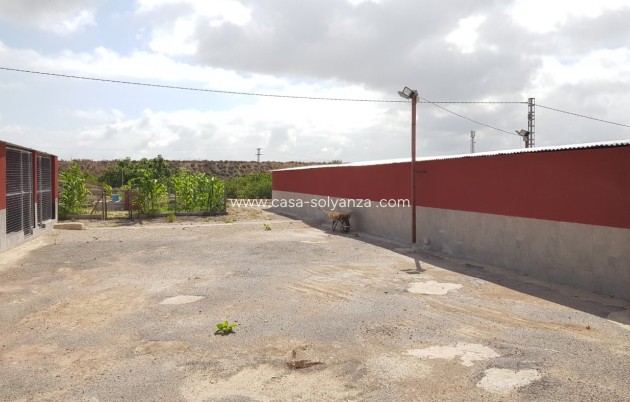 Wiederverkauf - Country Property/Finca - Los Montesinos