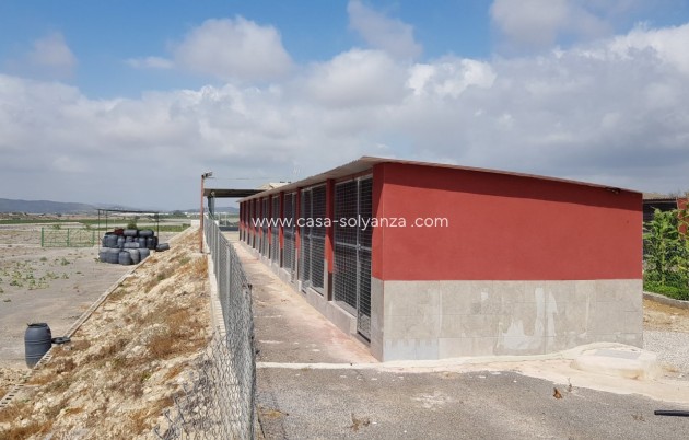 Wiederverkauf - Country Property/Finca - Los Montesinos