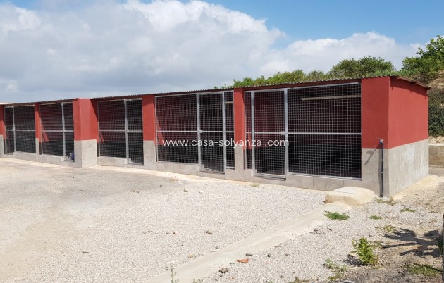 Wiederverkauf - Country Property/Finca - Los Montesinos