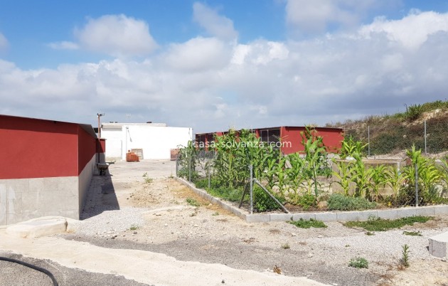 Wiederverkauf - Country Property/Finca - Los Montesinos