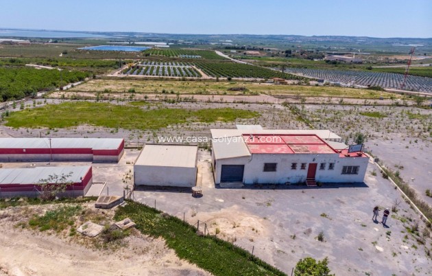 Wiederverkauf - Country Property/Finca - Los Montesinos