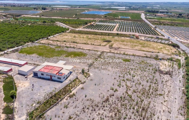 Wiederverkauf - Country Property/Finca - Los Montesinos