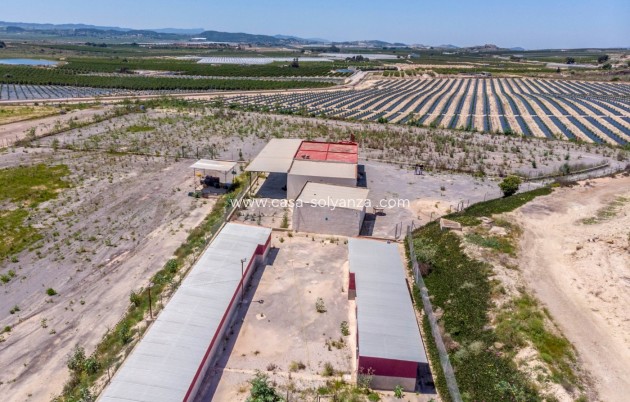 Wiederverkauf - Country Property/Finca - Los Montesinos