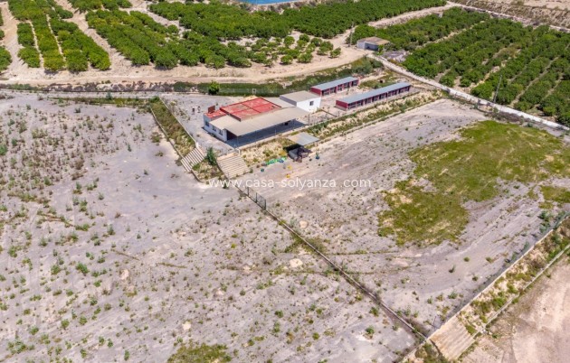 Wiederverkauf - Country Property/Finca - Los Montesinos