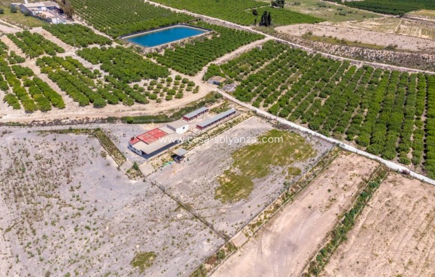 Wiederverkauf - Country Property/Finca - Los Montesinos