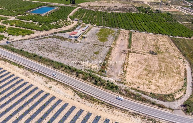 Wiederverkauf - Country Property/Finca - Los Montesinos