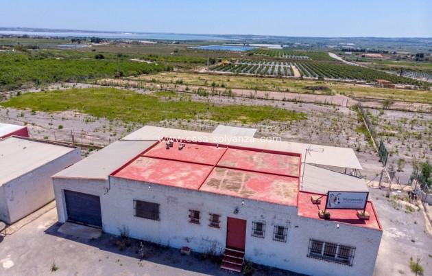 Wiederverkauf - Country Property/Finca - Los Montesinos