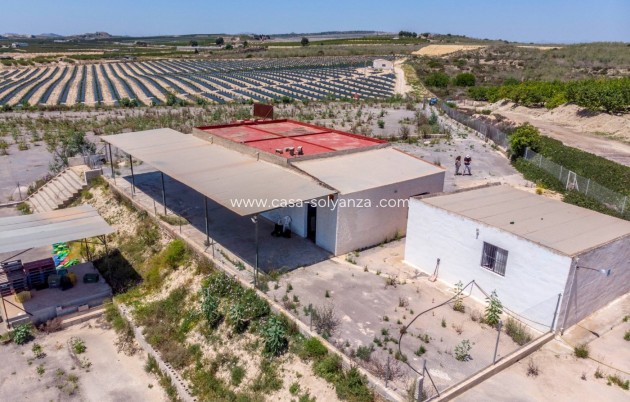 Wiederverkauf - Country Property/Finca - Los Montesinos