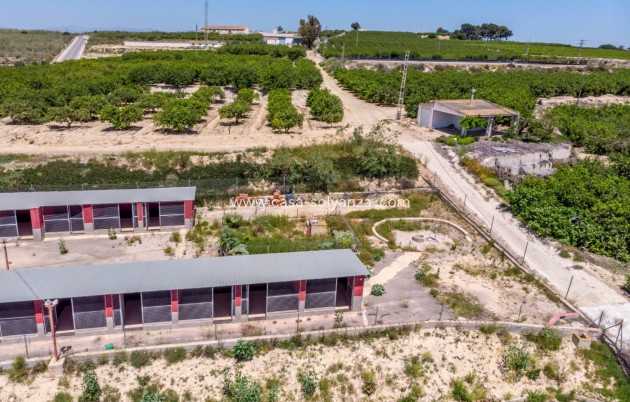 Wiederverkauf - Country Property/Finca - Los Montesinos