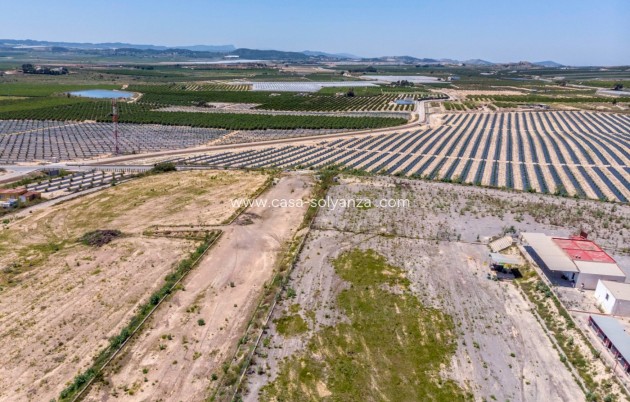 Wiederverkauf - Country Property/Finca - Los Montesinos