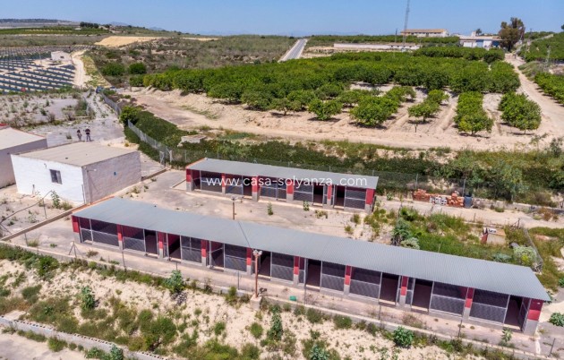 Wiederverkauf - Country Property/Finca - Los Montesinos