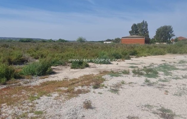 Revente - Land - La Hoya - La Hoya-daimes-el Derramador