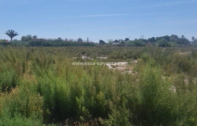 Revente - Land - La Hoya - La Hoya-daimes-el Derramador