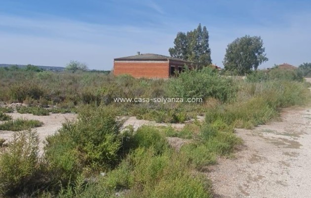 Revente - Land - La Hoya - La Hoya-daimes-el Derramador