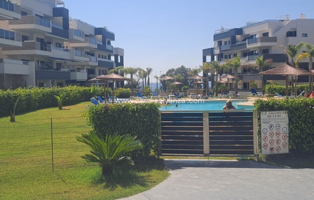 Revente - Appartement - Playa Flamenca - Costa Blanca