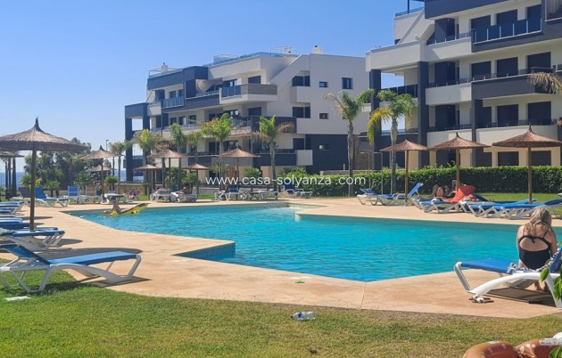 Revente - Appartement - Playa Flamenca - Costa Blanca