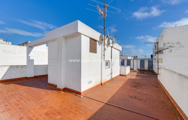 Revente - Appartement - Torrevieja - Paseo Maritimo