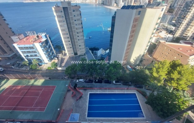 Revente - Appartement - Benidorm - Costa Blanca