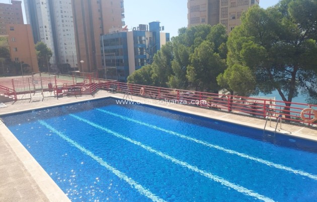 Revente - Appartement - Benidorm - Costa Blanca