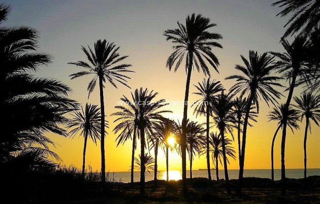 Revente - Appartement - Torrevieja - Center