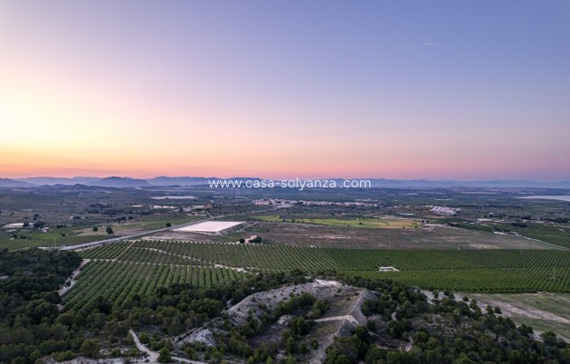 Revente - Appartement - San Miguel de Salinas - Inland