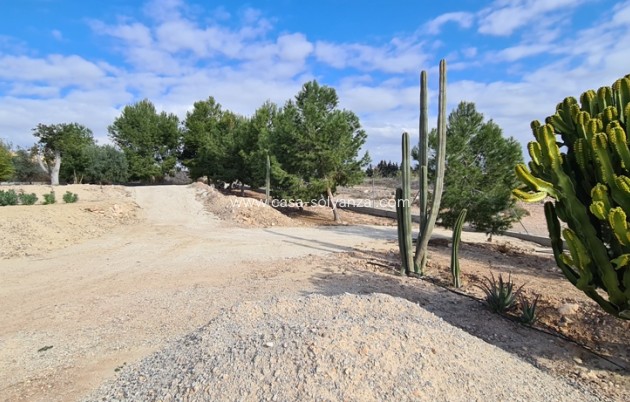 Revente - Villa - Orihuela - Inland