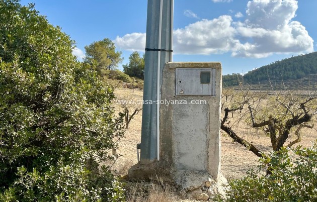 Revente - Land - Bullas - Inland