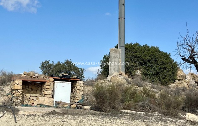 Revente - Land - Bullas - Inland