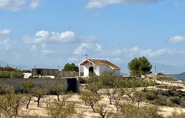 Revente - Land - Bullas - Inland