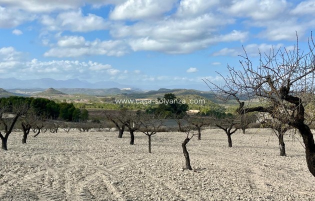 Revente - Land - Bullas - Inland