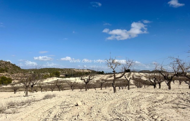 Revente - Land - Bullas - Inland