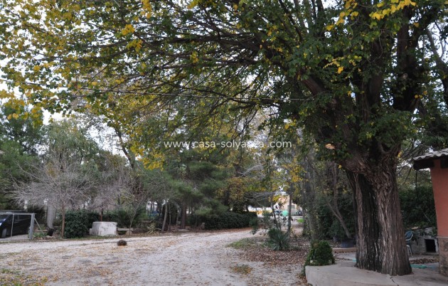 Wiederverkauf - Stadthaus - Pinoso - Inland