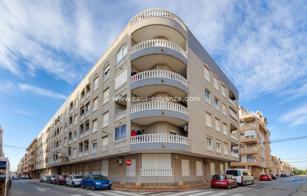 Herverkoop - Appartement / flat - Torrevieja - Acequion