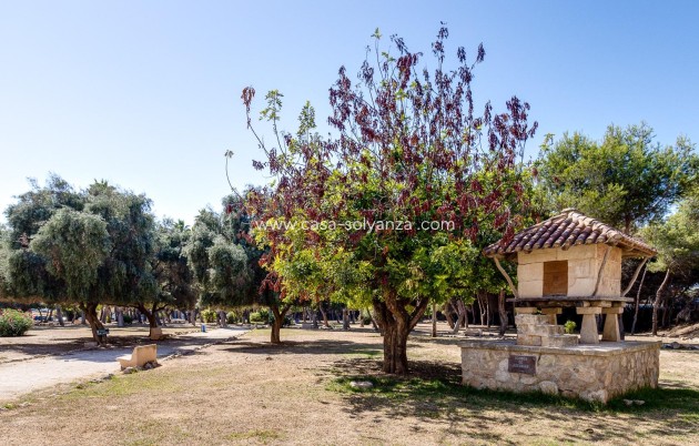 Herverkoop - Appartement / flat - Torrevieja - Acequion